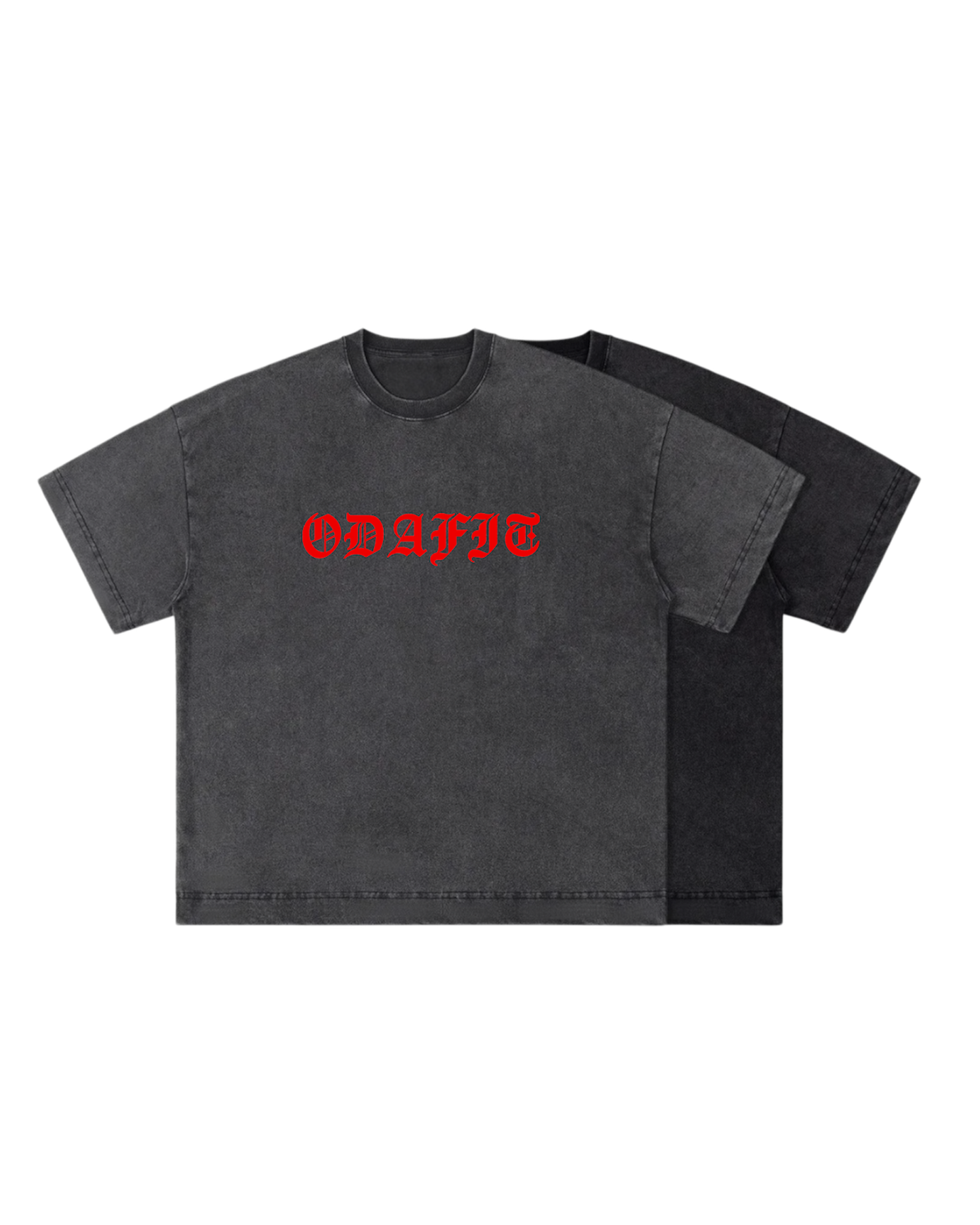 TIGER VISION HEAVYWEIGHT TEE